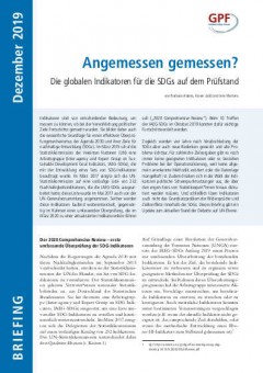 Cover_Briefing 12-2019_Indikatoren