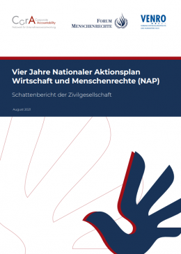 Cover Schattenbericht