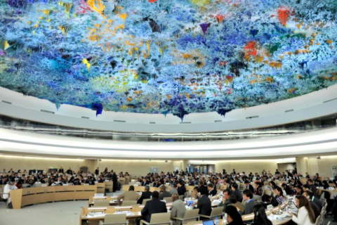 Plenary Human Rights Council
