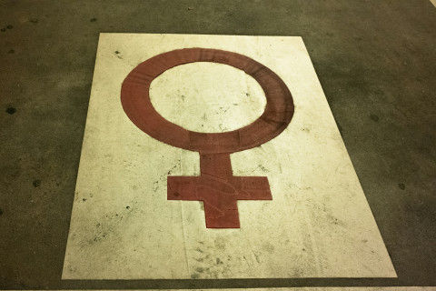 Das Bild stellt ein auf die Straße gezeichnetes Weiblichkeitszeichen in rot auf weißem Grund dar